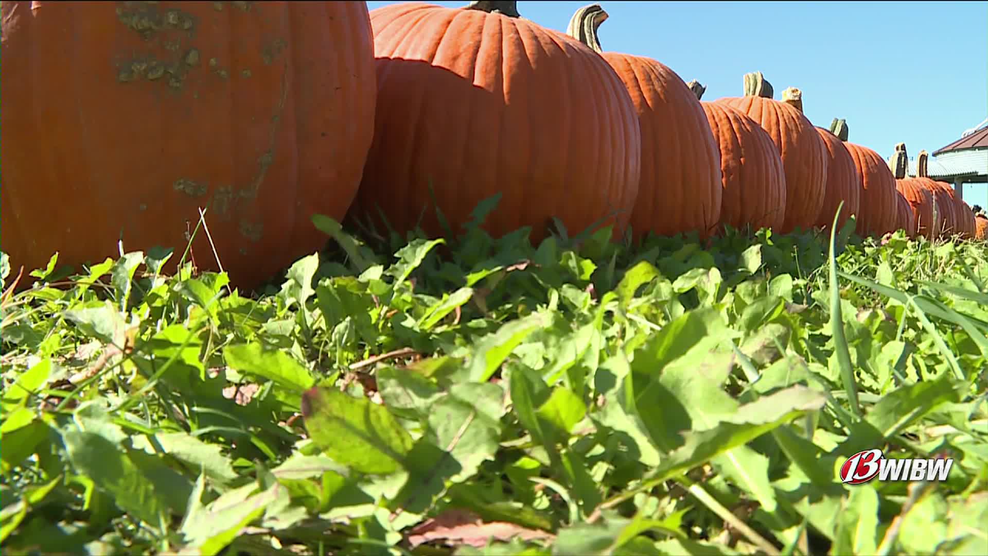 Shivley Farms Continues Annual Fall Festivities Amidst Record September Heat and Lower Pumpkin Yields