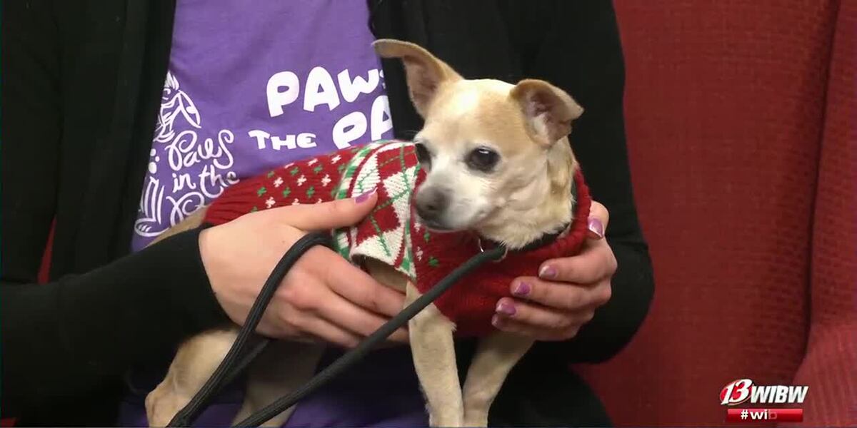 Shawnee County Helping Hands Humane Society