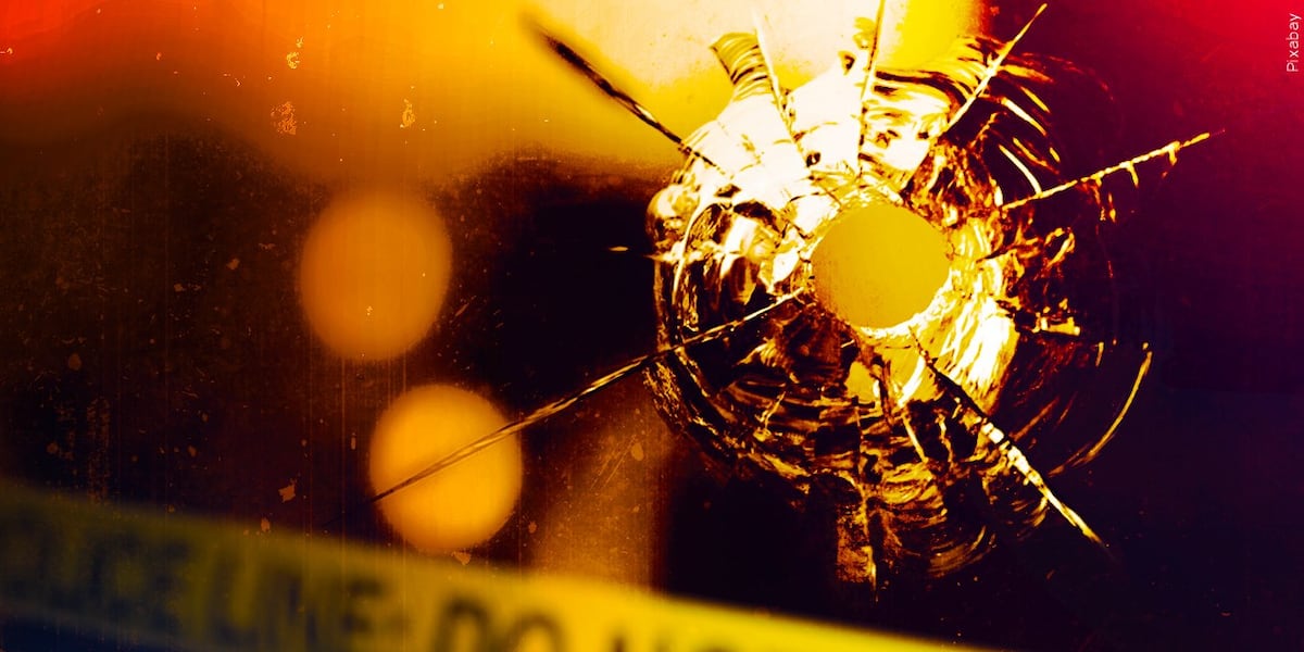 Shooting News Image