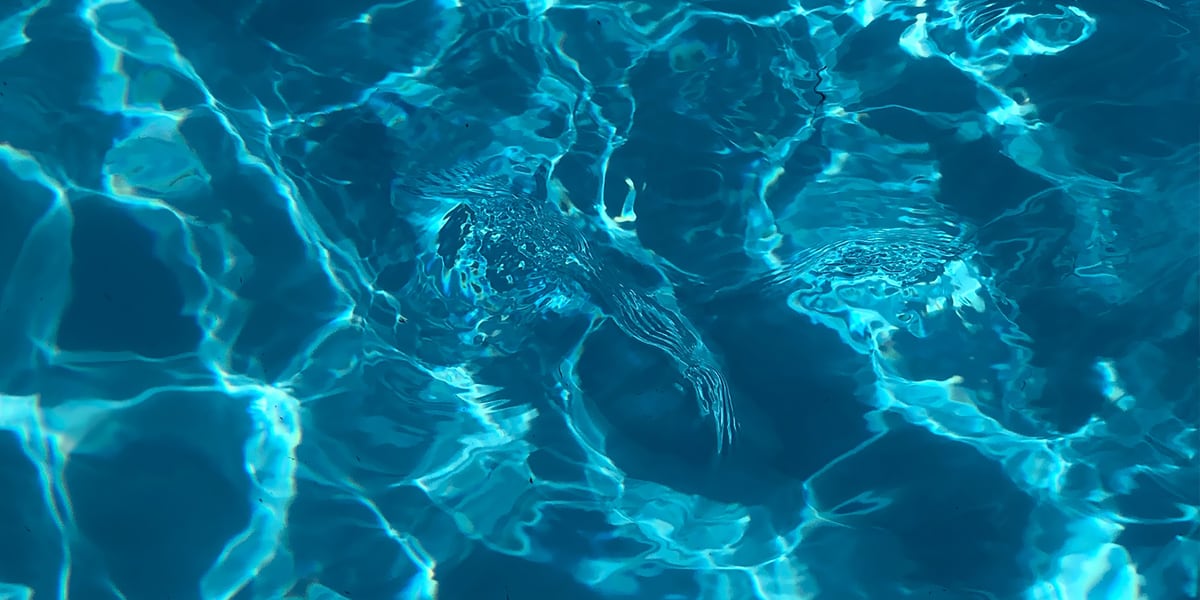 Fort Riley opens pools, Custer Aquatic Park just in time for Memorial Day