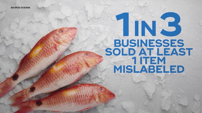 Fish Fraud Examples Seafood fraud investigation finds 1 in 3 businesses sold mislabeled fish