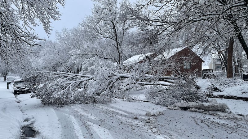 Topeks Snow Heavy snow brings down trees Tuesday in Topeka area