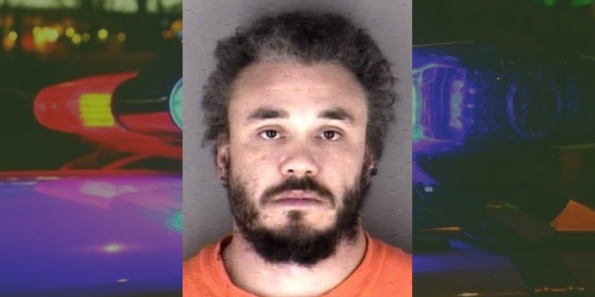 Assault News Image