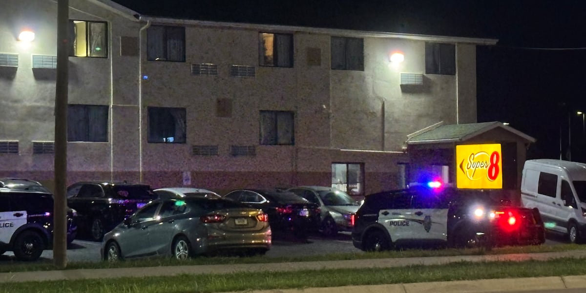Assault News Image