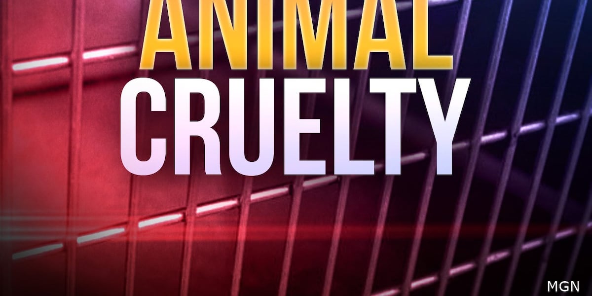 One man charged in connection to Topeka animal cruelty case