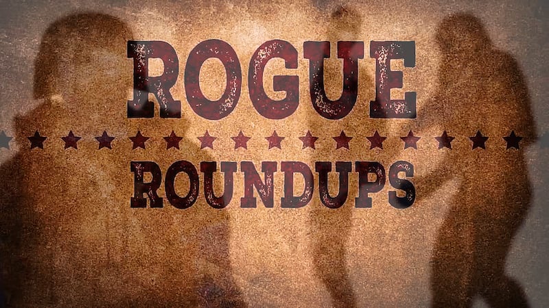Rogue Roundups: Bounty hunters operate with inconsistent oversight as mistakes raise questions