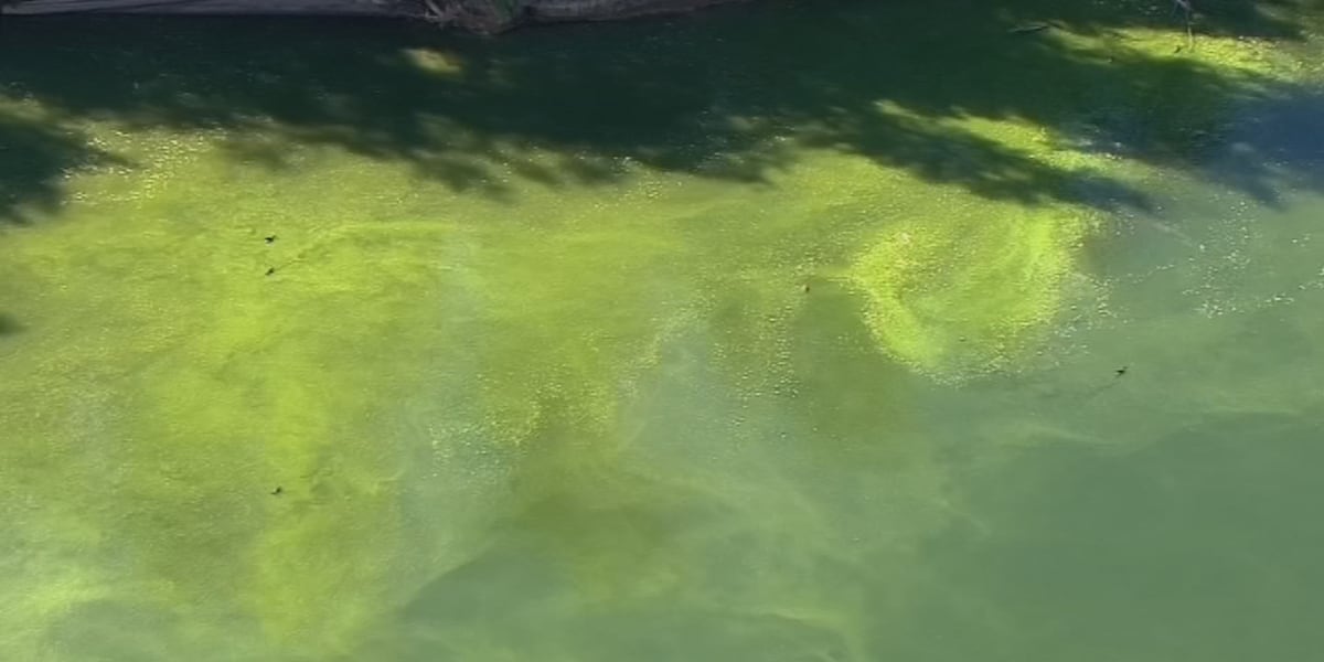 Lake Shawnee added to blue-green algae Watch Advisory list