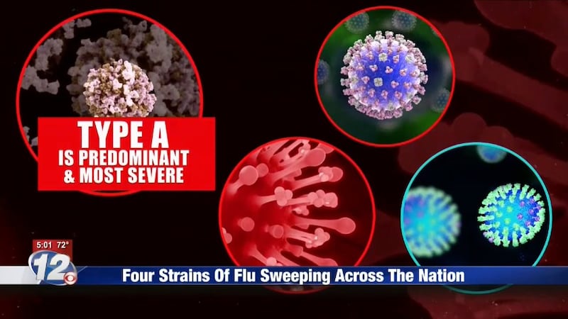 Flu Variations Four strains of flu are sweeping across the nation