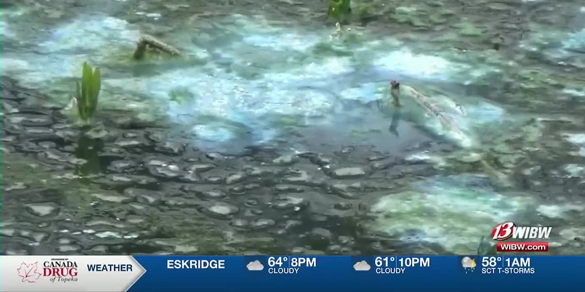 Blue-green algae public health advisories given for Kansas lakes Blue-green algae public health advisories given for Kansas lakes