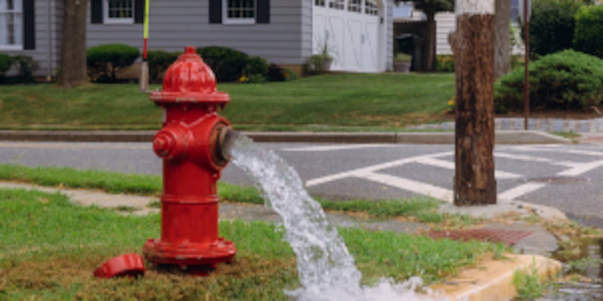 Topeka's 5,600 fire hydrants to be inspected in multi-year project