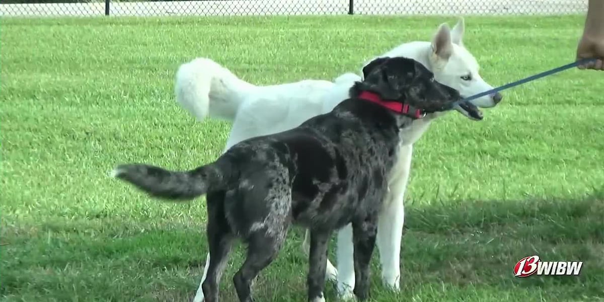 Shawnee County, Smucker’s agreement could bring benefits to Lake Shawnee & Bark Park