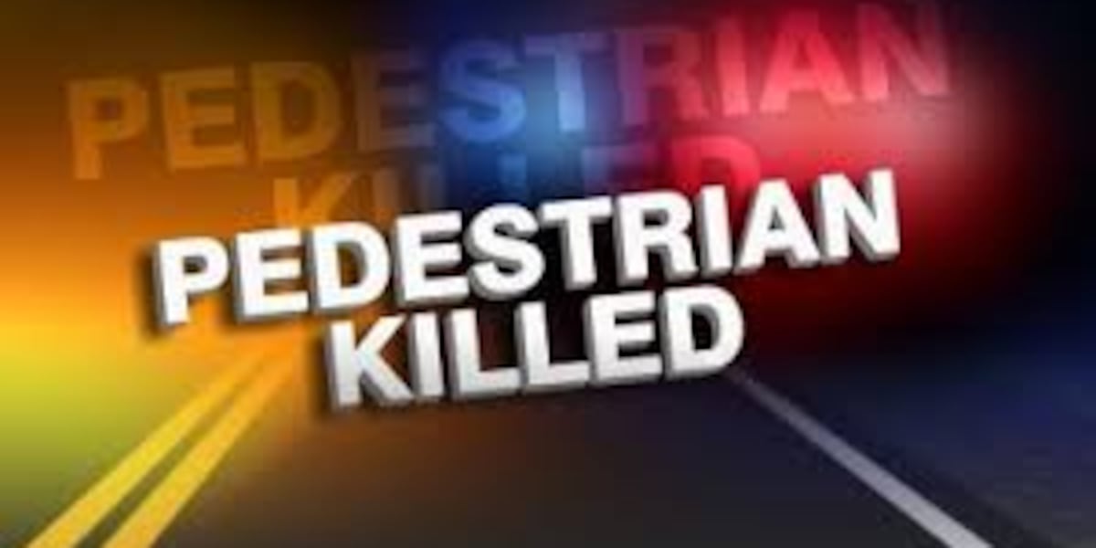 Emporia woman dies in vehicle-pedestrian crash in Omaha