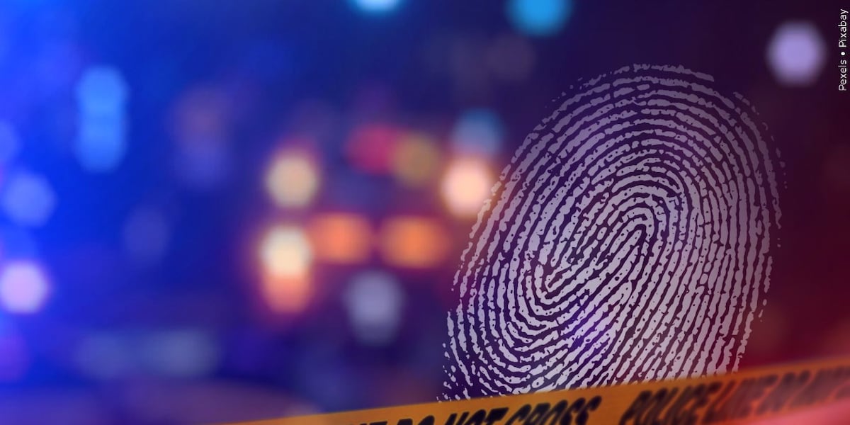 Assault News Image
